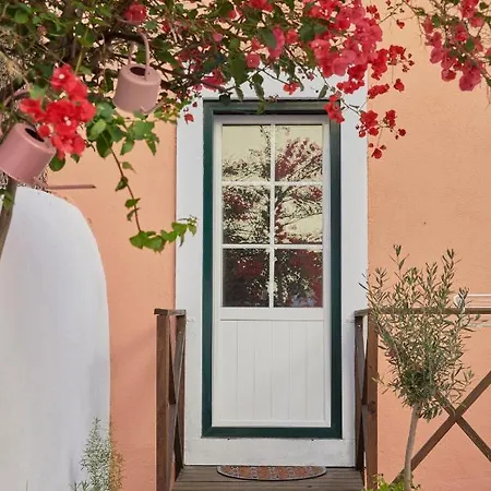 Amazing Terrace And Riverview In Historical * Lizbona