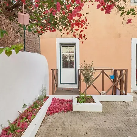 Amazing Terrace And Riverview In Historical Daire